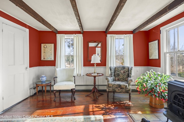 55 Church Ave, Germantown, NY 12526 - sitting room with wainscoting, healthy amount of natural light, beamed ceiling, wood-type flooring, and a wood stove