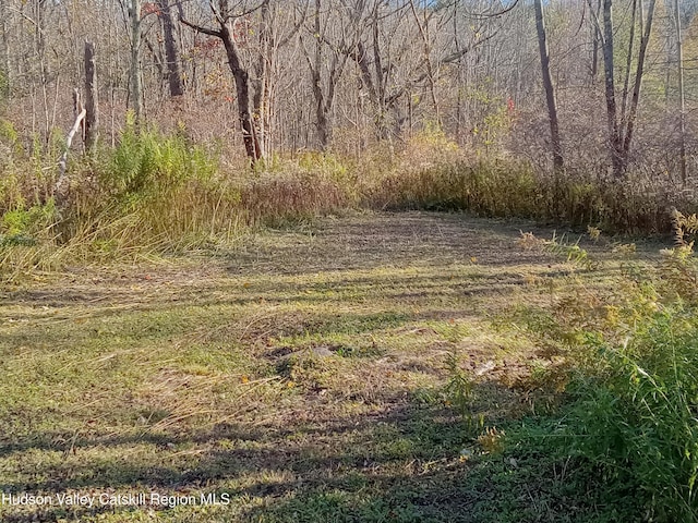 309 Goshen St, Jewett, NY 12444 - photo 6