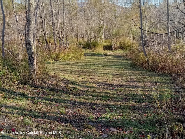 309 Goshen St, Jewett, NY 12444 - photo 8