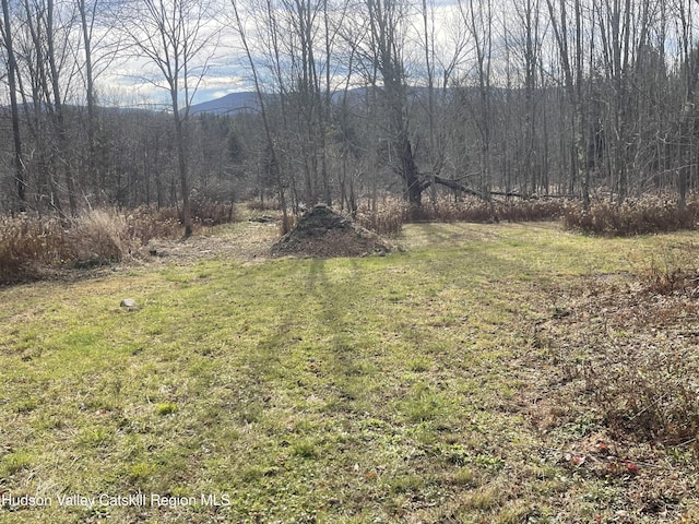 309 Goshen St, Jewett, NY 12444 - photo 20