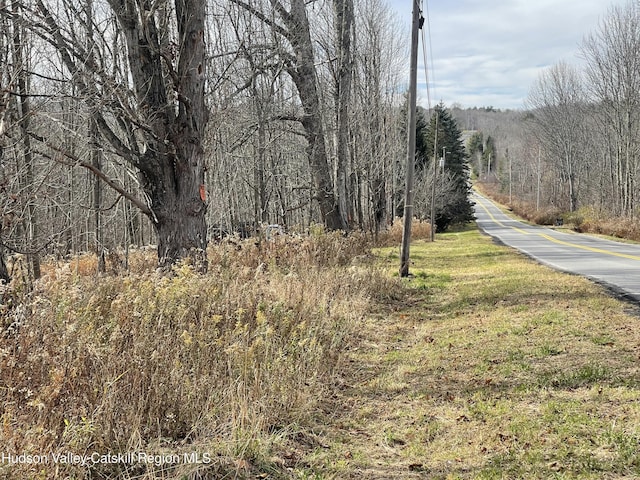 309 Goshen St, Jewett, NY 12444 - photo 15
