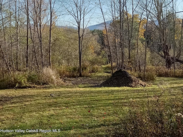 309 Goshen St, Jewett, NY 12444 - photo 7