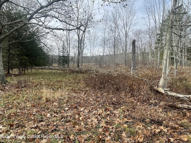 309 Goshen St, Jewett, NY 12444 - photo 24