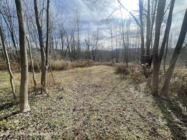 309 Goshen St, Jewett, NY 12444 - photo 17