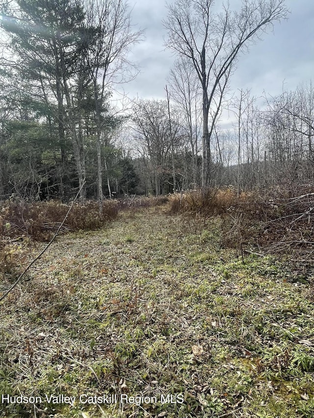 309 Goshen St, Jewett, NY 12444 - photo 23