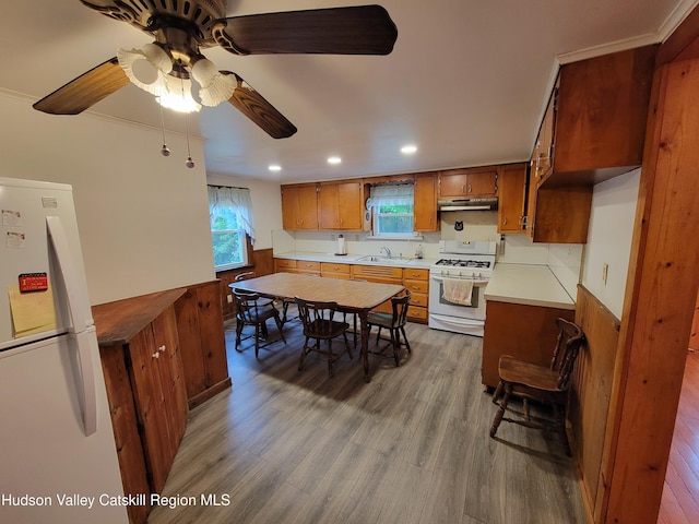 2457 State Route 82, Ancram, NY 12502 - kitchen featuring white appliances, brown cabinets, under cabinet range hood, a sink, and light countertops