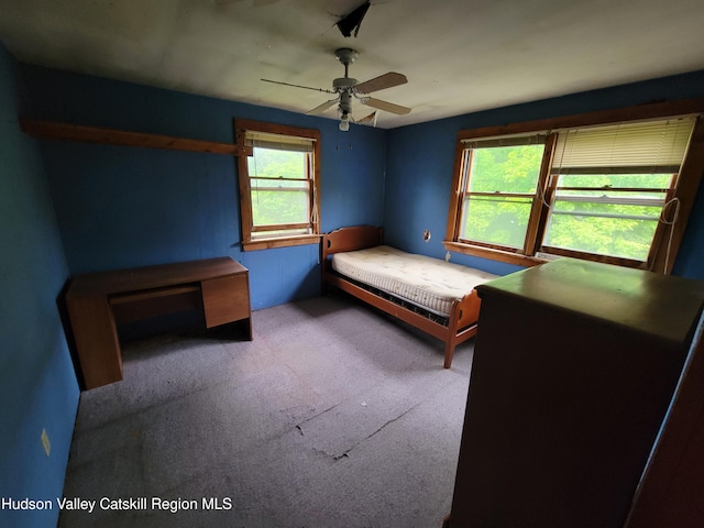 2457 State Route 82, Ancram, NY 12502 - unfurnished bedroom with carpet flooring and ceiling fan