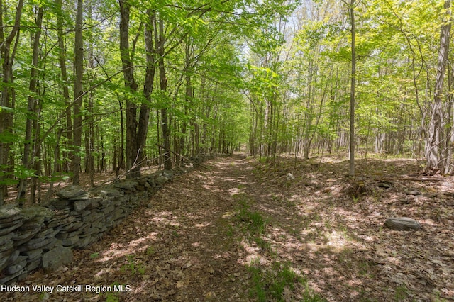 12-14 Armstrong Rd, Hardenburgh, NY 12406 - photo 42