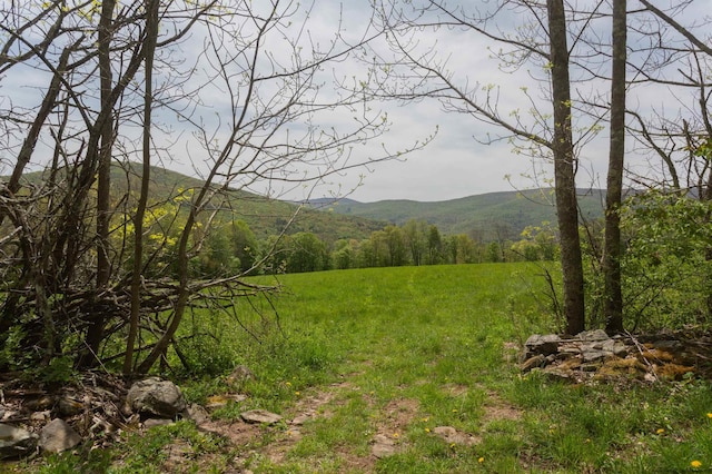 view of mountain feature