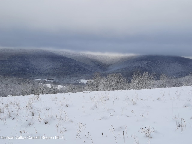 view of mountain feature