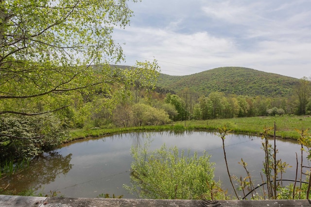 12-14 Armstrong Rd, Hardenburgh, NY 12406 - photo 7