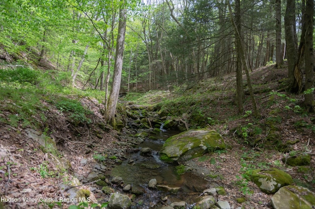 12-14 Armstrong Rd, Hardenburgh, NY 12406 - photo 46