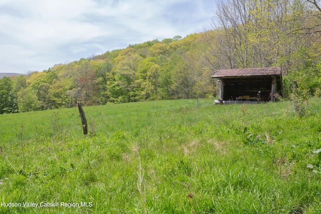 12-14 Armstrong Rd, Hardenburgh, NY 12406 - photo 44