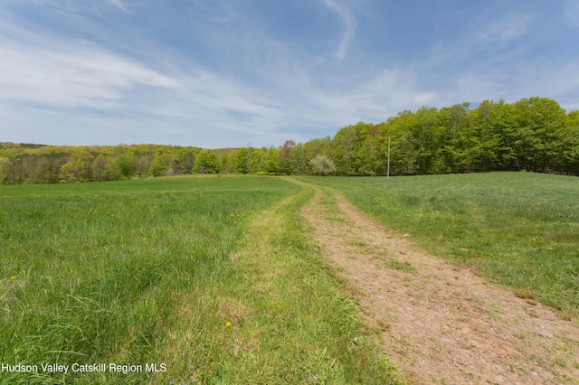12-14 Armstrong Rd, Hardenburgh, NY 12406 - photo 39