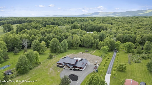 1248 Albany Post Rd, Gardiner, NY 12525 - view of subject property with a heavily wooded area
