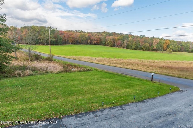 9 Low Rd, Shawangunk, NY 12589 - photo 7