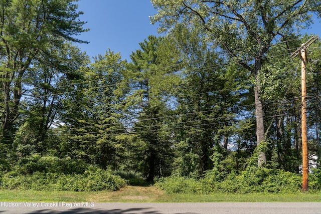 43 Buttermilk Falls Rd, Athens, NY 12015 - photo 2