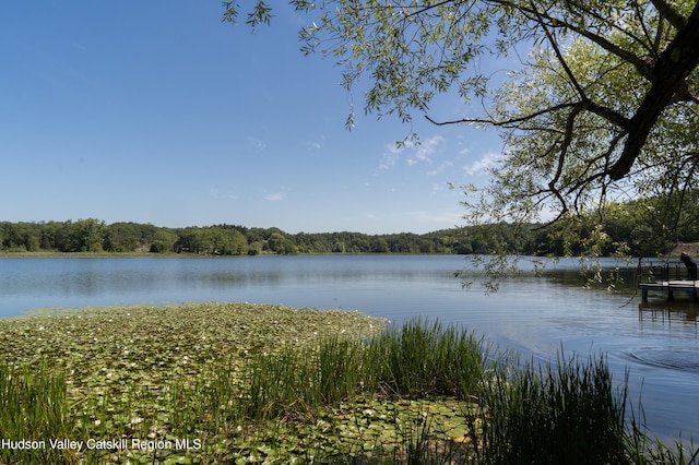 43 Buttermilk Falls Rd, Athens, NY 12015 - photo 7