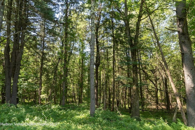 43 Buttermilk Falls Rd, Athens, NY 12015 - photo 4