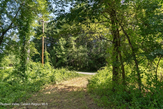 43 Buttermilk Falls Rd, Athens, NY 12015 - photo 3