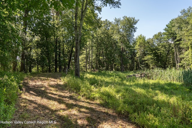 43 Buttermilk Falls Rd, Athens, NY 12015 - photo 1