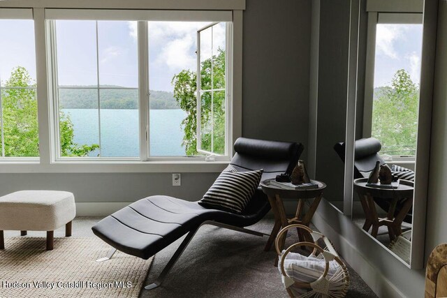 225 Lakeview Rd, Craryville, NY 12521 - living area with a water view