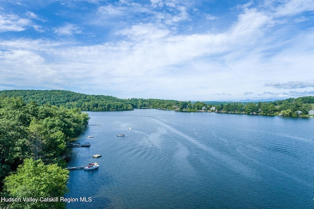 225 Lakeview Rd, Craryville, NY 12521 - water view featuring a heavily wooded area