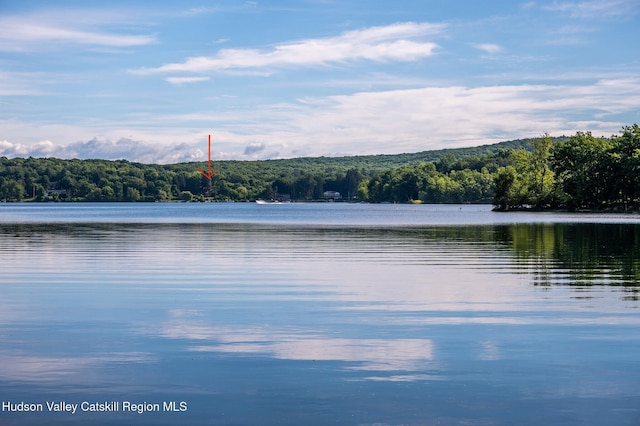 225 Lakeview Rd, Craryville, NY 12521 - water view featuring a forest