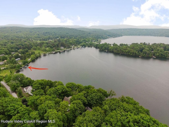 225 Lakeview Rd, Craryville, NY 12521 - aerial view of a heavily wooded area and a nearby body of water