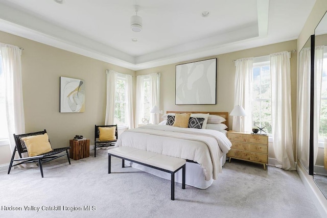 225 Lakeview Rd, Craryville, NY 12521 - bedroom featuring a tray ceiling, multiple windows, and light colored carpet