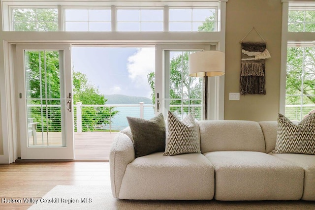 225 Lakeview Rd, Craryville, NY 12521 - living room featuring a water view and wood finished floors