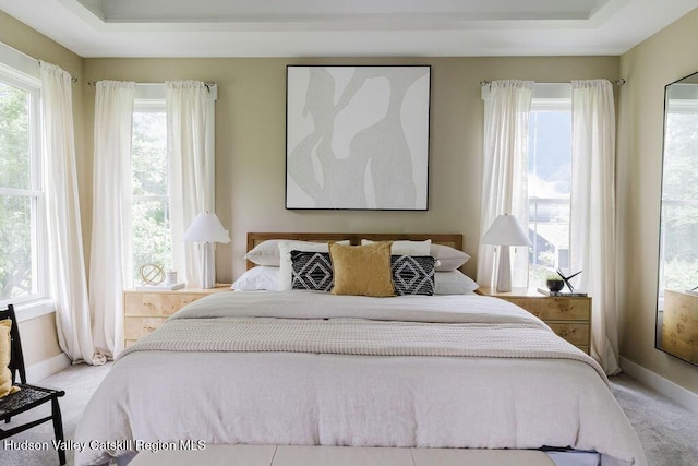 225 Lakeview Rd, Craryville, NY 12521 - carpeted bedroom with a raised ceiling