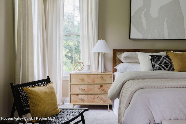 225 Lakeview Rd, Craryville, NY 12521 - bedroom featuring carpet