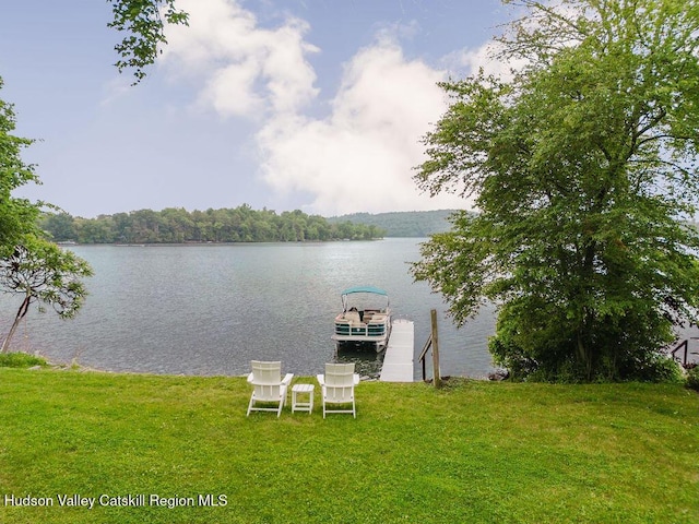 225 Lakeview Rd, Craryville, NY 12521 - dock featuring a yard and a water view