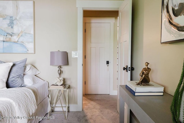 225 Lakeview Rd, Craryville, NY 12521 - view of carpeted bedroom
