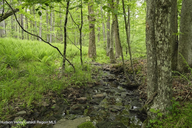 367 Cushetunk Dr, Cochecton Center, NY 12727 - view of woods