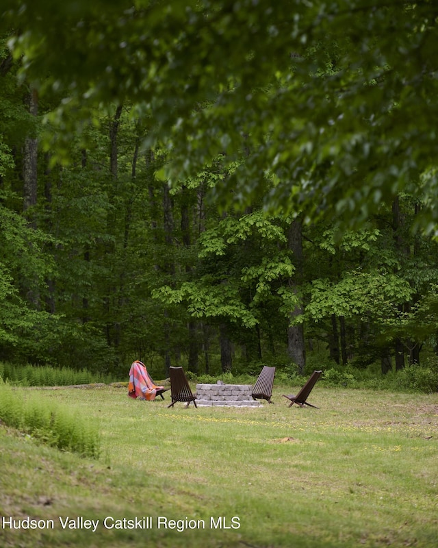 367 Cushetunk Dr, Cochecton Center, NY 12727 - view of green lawn with a view of trees