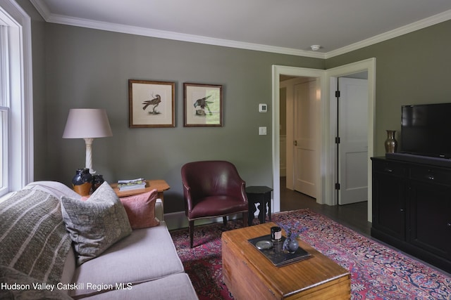367 Cushetunk Dr, Cochecton Center, NY 12727 - living area with ornamental molding