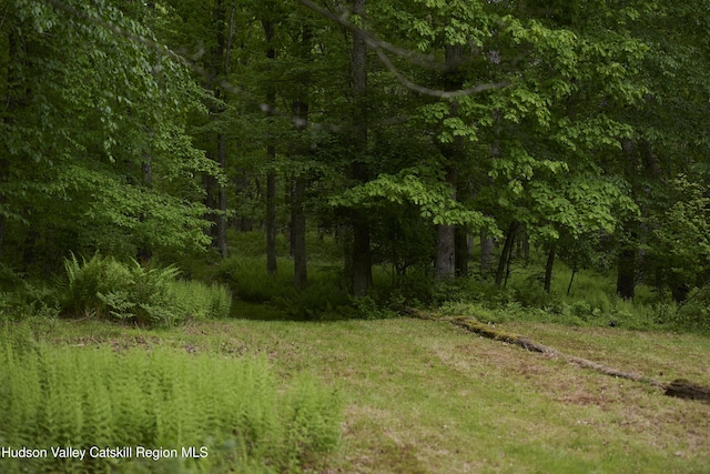 367 Cushetunk Dr, Cochecton Center, NY 12727 - view of wooded area