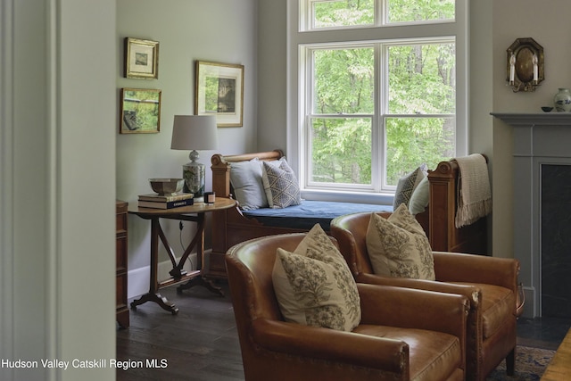 367 Cushetunk Dr, Cochecton Center, NY 12727 - sitting room featuring dark wood-style flooring
