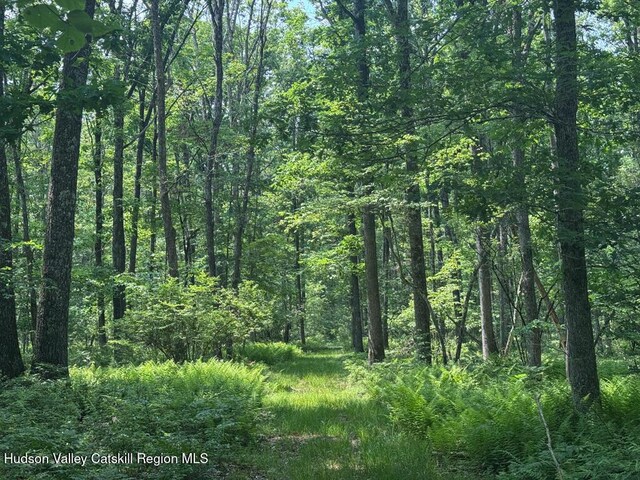 367 Cushetunk Dr, Cochecton Center, NY 12727 - photo 38