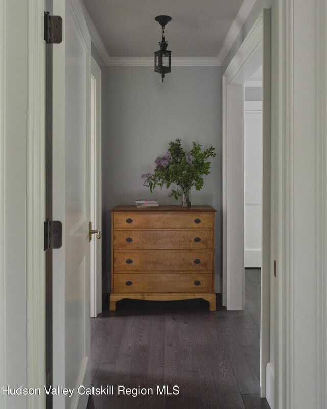 367 Cushetunk Dr, Cochecton Center, NY 12727 - hall with dark wood-style flooring and ornamental molding
