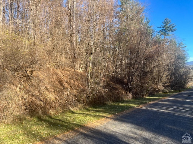 12 Pioneer, Copake, NY 12516