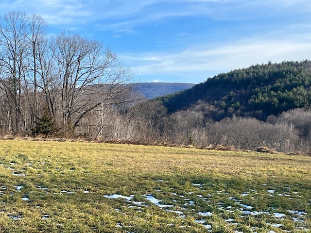 12 Pioneer, Copake, NY 12516