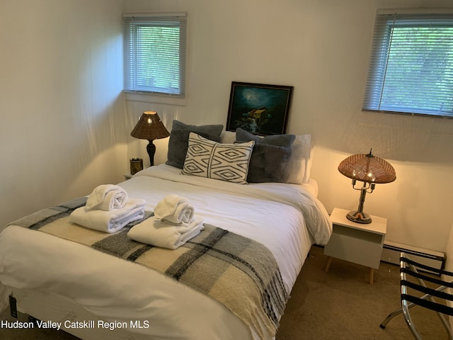 1308 Goshen St, Jewett, NY 12444 - photo 28