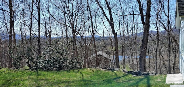 1308 Goshen St, Jewett, NY 12444 - photo 19