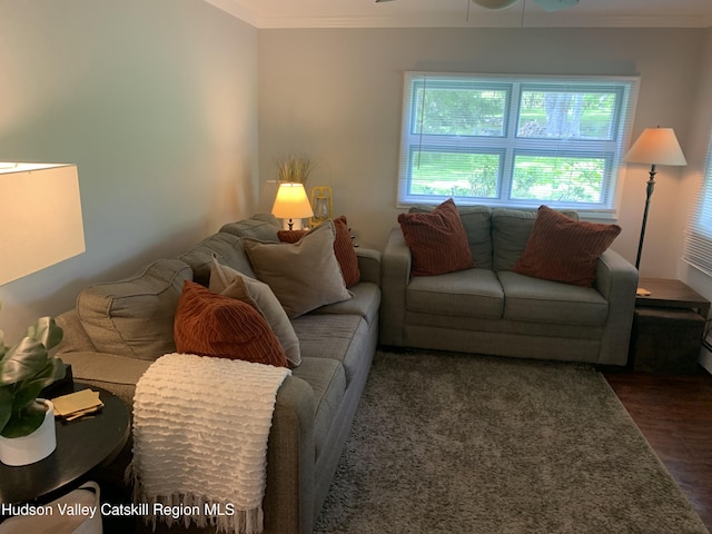 1308 Goshen St, Jewett, NY 12444 - photo 9