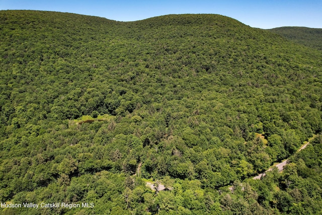 1656 Frost Valley Rd, Claryville, NY 12725