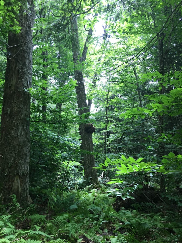 1656 Frost Valley Rd, Claryville, NY 12725