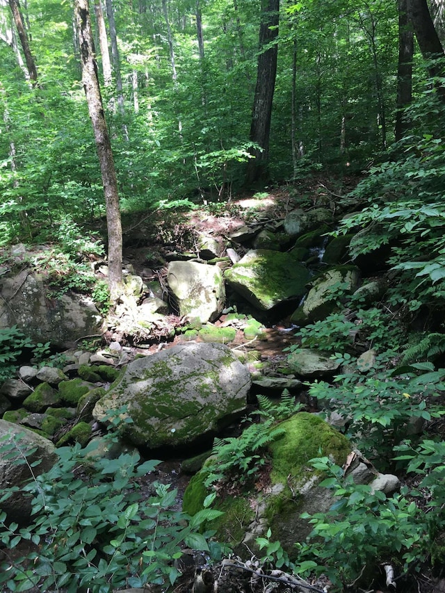 1656 Frost Valley Rd, Claryville, NY 12725